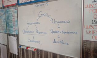 Лекция «Виды эмоций и способы работы с ними»
